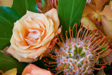 Flower arrangement with rose, orchid, and protea blossoms. 