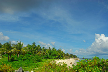Fototapeta na wymiar Lush vegetation bording a white sand beach