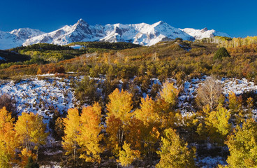 San Juan Mountains and Aspen trees in fallcolor at sunrise, Dallas Divide, Ouray, Rocky Mountains,...