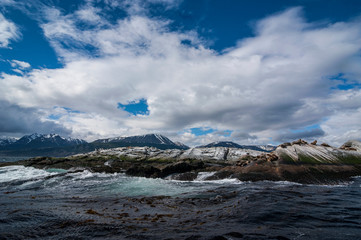 Island in the Beagle Channel, Ushuaia, Tierra del Fuego, Argentina, South America