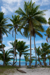Fototapeta na wymiar Fiji, Southern Lau Group, Island of Fulanga. Scenic tropical coastline.