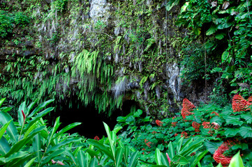 South Pacific, French Polynesia,Tahiti. Maraa Cave (aka Grotte de Maraa) fern grotto and lava tube cave.