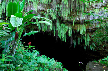 South Pacific, French Polynesia,Tahiti. Maraa Cave (aka Grotte de Maraa) fern grotto and lava tube cave.
