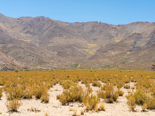 Landscape near the salt flats Salinas Grandes in the Altiplano, Argentina.