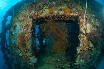 Fototapeta na wymiar Japanese Teshio Maru Standard 1 V Freighter Wreck from WWII, Palau, Micronesia, Western Pacific