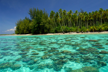 South Pacific, French Polynesia, Moorea