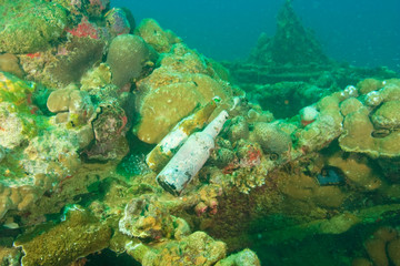 Helmet Wreck near Koror, Palau, Micronesia, Rock Islands, World Heritage Site, Western Pacific