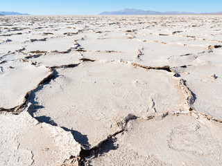 Surface of the Salar. Landscape on Salinas Grandes salt flats in the Altiplano, Argentina.