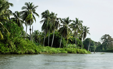 Cano de Mantuilla eventually connects to the Amazon River.
