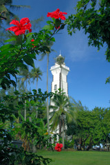 South Pacific, French Polynesia,Tahiti. Hibiscus in front of Venus Point Lighthouse (aka Pointe Venus). © Cindy Miller Hopkins/Danita Delimont