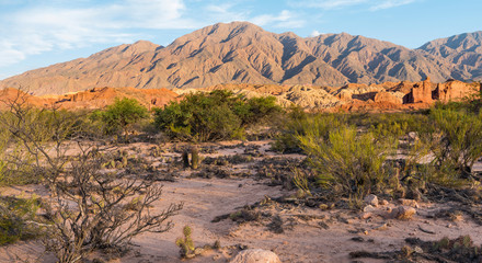 Quebrada de las Conchas also called Quebrada de Cafayate. Canyon with colorful rock formations created by Rio de las Conchas, Argentina.