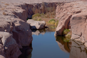 Located in the Atacama desert town of Tocanao is this creek.