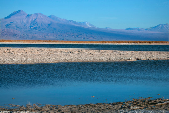 Eleven miles outside of San Pedro de Atacama, is Cejar, a series of three ponds located in the middle of the Salt Lake.