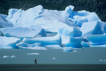 Chile, Patagonia, Torres del Paine National Park, hiker along beach, icebergs in Lago Grey. - obrazy, fototapety, plakaty