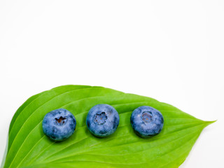 Blueberries on a leaf. on a white background. stack of blueberries with green leaves isolated on white background.