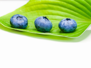 Blueberries on a leaf. on a white background. stack of blueberries with green leaves isolated on white background.