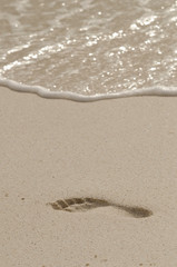 Ecuador, Galapagos, Espanola Island (AKA Hood Island), Gardner Bay. Footprint in white sand beach.