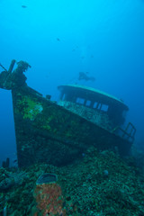 Shipwreck, Roatan Marine park, Caribbean Scuba Diving, Roatan, Bay Islands, Honduras, Central...
