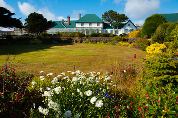 Falkland Islands. Stanley. Governor's House. Wildflower garden.
