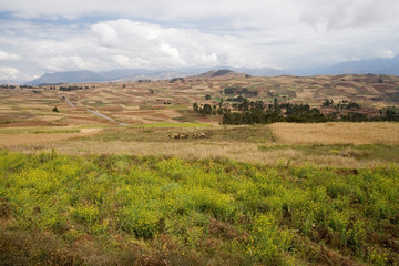 Fototapeta premium South America - Peru. Agricultural landscape in the Sacred Valley of the Incas.