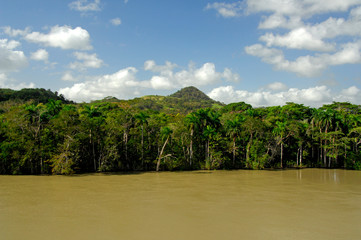 Central America, Panama, Panama Canal. Tropical habitat along the canal zone near Pedro Miguel Lock.