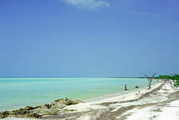 Fototapeta na wymiar Mexico, Quintana Roo, Isla Holbox, blue turquoise sea