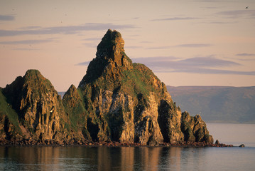 Alaska, Round Island, Bristol Bay, Bering Sea, Summer walrus haulout