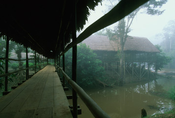 Peru, Amazonia, near Iquitos, Explorama Lodge on river.