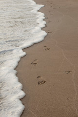 Costa Rica, Central America. Footprints in the sand on a beach with foamy waves.