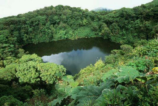 Costa Rica, Braulio Carillo National Park, old crater lake atop Volcan Barva.