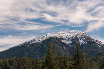 Fototapeta na wymiar US, Alaska, Ketchikan. Snow capped mountain of Coast Range in Tongass National Forest seen from Ward Lake Trail