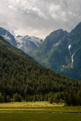 Obraz premium landscape in the mountains