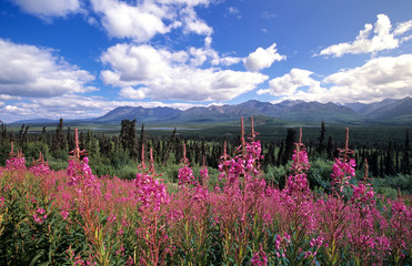 Chugach Mountains, Alaska, USA