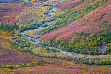 USA, Alaska, Brooks Range. Landscape of tundra and Dietrich River. Credit as: Don Paulson / Jaynes Gallery / DanitaDelimont.com