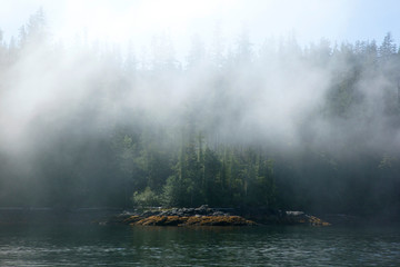 Fototapeta premium USA, Alaska. Outside of Ketchikan in Southeastern Alaska.