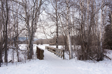 US, Alaska, Fairbanks. Creamer's Field Migratory Waterfowl Refuge. Walking and cross country ski trails. Creamer's Dairy was active until 1966