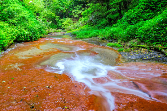 Kolpitis Bilder Durchsuchen 1,647 Archivfotos, und