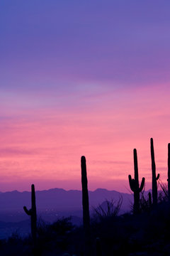 USA, Arizona, Tucson. Purple sunset on Avra Valley as seen from Tortolita Mountains. © Jaynes Gallery/Danita Delimont
