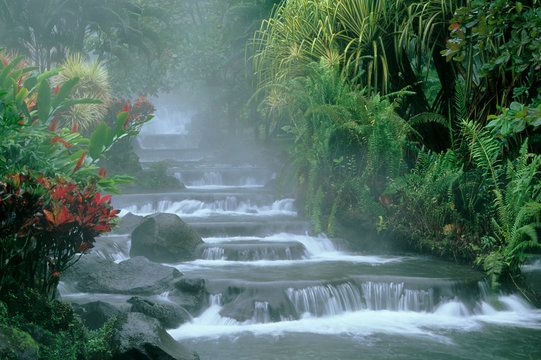 Costa Rica, Tabacon Hot Springs, below Arenal Volcano, tropical vegetation along natural hot springs.