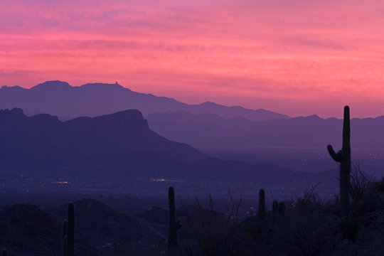 USA, Arizona, Tucson. Purple sunset on Avra Valley as seen from Tortolita Mountains. 