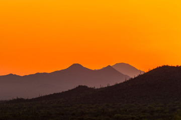 USA, Arizona, Saguaro National Park. Tucson Mountains at sunset. Credit as: Cathy & Gordon Illg / Jaynes Gallery / DanitaDelimont.com