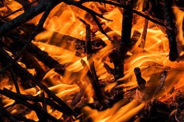 Close-up of burning branches, Alabama
