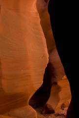 USA, Arizona, Navajo Tribal Lands. Reflected sunlights creates amber walls in Slot Canyon X.