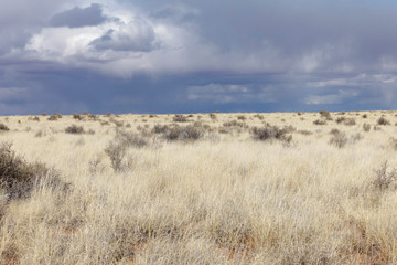 Hollbrook, Arizona. Route 66, storm clouds of a dry grassland.