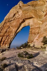 USA, Arizona, White Mesa Arch and Pines