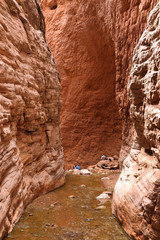 Grand Canyon National Park, Arizona. Side canyon of the Grand Canyon.