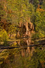 Autumn, Oak Creek Canyon, reflections, Oak Creek, Coconino National Forest, Sedona, Arizona, USA