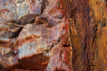 Close-up of petrified wood, Petrified Forest National Park, Holbrook, Arizona, USA.