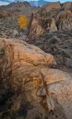 USA, California, Alabama Hills Recreation Area. Boulders and geological formation
