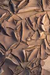 California. Drying mud curls create a pattern and texture on the surface of a now-dry puddle.
